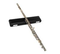 flute C-Key 16-Hole Flute Set C Key Flute With Case Cloth Gloves Woodwind Instrument Accessory Green Antique