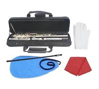 Flute Closed Hole 16 Key BE, Flute Musical Instrument, For Beginner Student Kids, With Tuning Rod, Cloth, Case And Gloves