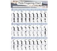 Flute Fingering Chart | Beginner Practice & Teaching Aid | Standard Notes & Major Scales | Coated Paper Instrument Accessory (Flute fingering chart for trumpet (28 * 21cm))