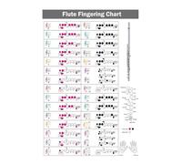 Flute Fingering Chart poster with Color-Coded Notes, Learn Flute Technique Suitable for All Levels poster(Unframed,12x18inch(30x45cm))