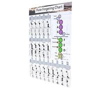 Flute Fingering Practice Chart, Coated Paper Flute Fingering Chord Chart Instrument Accessories Teaching Aids Reasonable Design for Beginners for Family(Flute Fingering Table Small (28 * 21cm))