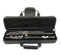 Flute Flute 16 Close Holes C Black With E Key MFL-607/606 Easy To Play(607)