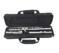 Flute Flute 16 Close Holes C Nickel Plated Concert With E Key MFL-601