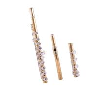 flute Flute 17 holes B tail open and closed dual-purpose sub-gold silver-plated professional grading instrument