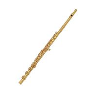 flute Flute Instrument 16/17 Hole Closed Hole White Copper Plated Nickel Silver/silver Flute Instrument C Key Beginners Flute (Color : Style 2)