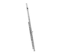 Flute Flute Instrument C Key White Copper Silver Plated Beginner(B)