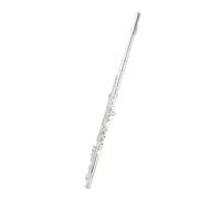 Flute Flute Instrument For Beginners To Play 16/17 Holes Silver Plated Open And Closed Dual Use(16 closed cell)