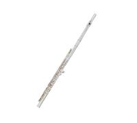 flute Flute Instrument In C Key 16-hole Tune 17-hole In-line With E Key French Keys Silver-plated Student Beginner Major (Color : 6248S)