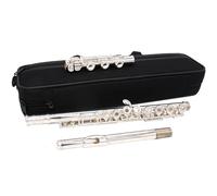 Flute Flute Instrument Silver-plated 16-hole 17-hole Open-closed-hole Dual-purpose Flute Instrument C Has A Wider Range(17 hole)