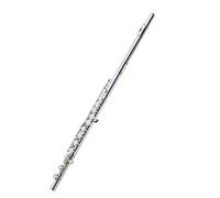 Flute for Beginner 16 Closed Hole C Tune Silver Plated Flute Instrument Professional Beginner Exam Professional Performance