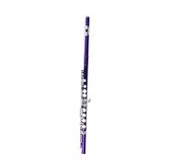 Flute for Beginner 16 Holes C Tone Flute E Key Woodwind Instrument Nickel Plated Silver Cupronickel Tube Flute With Accessories(Purple)