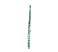 Flute for Beginner 16 Holes C Tone Flute E Key Woodwind Instrument Nickel Plated Silver Cupronickel Tube Flute With Accessories(Green)