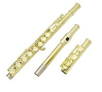 Flute for Beginner 16-key Closed-hole C Flute Beginner Children's Student Flute Instrument Comes With Cleaning Kit Glove Holder Flute Instrument (Color : 05)