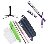 Flute for Beginner 16-key Closed-hole C Flute Beginner Children's Student Flute Instrument Comes With Cleaning Kit Glove Holder Flute Instrument (Color : 01)