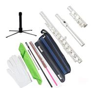 Flute for Beginner 16-key Closed-hole C Flute Beginner Children's Student Flute Instrument Comes With Cleaning Kit Glove Holder Flute Instrument (Color : 02)