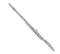 Flute for Beginner New Flute 17 Key Curved Opening Embossing Key Silver Tube C-tone Flute Plus E Key B Tail Flute Instrument