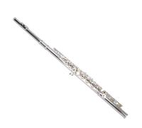 flute for beginners 16-hole closed-hole flute double silver-plated flute playing flute western musical instrument