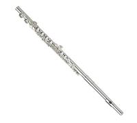 flute for beginners 16-hole closed-hole flute nickel-plated beginner exam E key C tune