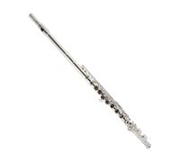 flute for beginners 16-hole closed-hole silver-plated flute beginner exam instrument school C-key flute