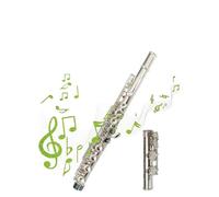 flute for beginners 16-hole nickel-plated flute instrument French plus E key beginners play elegantly