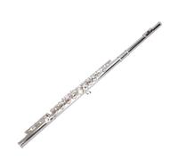 flute for beginners 16-hole open and closed dual-purpose flute for beginners and exams