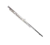 flute for beginners 16-hole silver-plated C-key flute instrument for beginners to take the exam