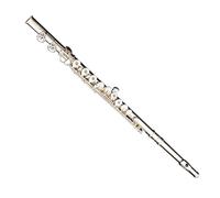 flute for beginners 16 open and closed hole dual-purpose French silver-plated carved flute with bright tone