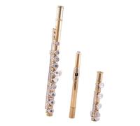 Flute for Beginners 17 Hole B Tail Open And Close Dual-use Sub-gold Silver Plated Adult Professional Instrument(Sub-gold)