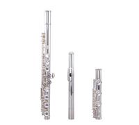 flute for beginners 17 Open and Closed Hole Flute Golden Mouth Flute Beginner Grade Examination Professional