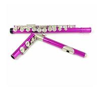 flute for beginners Flute 16 Close comfort Holes C Keys Instrument Cupronickel Nickel Plated Rose Flute With E Key