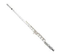 flute for beginners Flute Adult Silver-plated Professional Examination Universal C-tuned Flute Entry 16 Closed Hole Instrument