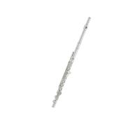 Flute for Beginners Flute C Key Beginner Performance Closed Hole Silver Plated Orchestra 16 Hole White Copper(B)