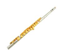 flute for beginners Flute gilded two-color professional performance Flute band playing instruments into a band