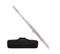 flute for beginners Flute Open and Closed Hole Dual-Purpose Flute Instrument C Key White Beginner Grade Examination 17 Holes