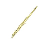 flute for beginners Golden Flute 16 Holes C-Tune Flute with Leather Box Flute Bag Musical Instrument Accessories Cleaning Kit