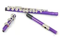flute for beginners Purple16-key Closed-hole C Flute BeginnerFlute Instrument Comes With Cleaning Kit Glove Holder Pass Bar