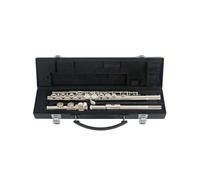 flute for beginners Standard flute beginner adult professional performance teaching