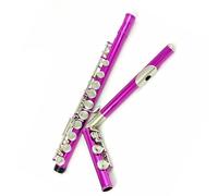 Flute instrument 16 closed hole C key white copper nickel plated keys rose red body