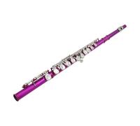 Flute Instrument 16-hole Flute C Key Colored Nickel-plated Flute E Key Beginner Exam Performance Instrument Flute(Rose red)