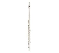 flute instrument 16 Hole Flute Silver Plated C Key Flute Instrument With Handbag Leather Box