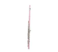 Flute Instrument 16 Holes C Tone Flute E Key Woodwind Instrument Nickel Plated Silver Cupronickel Tube Flute With Accessories(Pink)