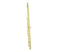 Flute Instrument 16 Holes Plus E Key Flute Brass Gold Flute Musical Instrument Closed Leather Case Professional Flute Concert Instrument