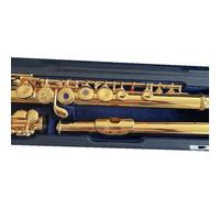 Flute Instrument 24K Gold Plated Flute 17 Open Hole Woodwind Professional Flute Playing Instruments