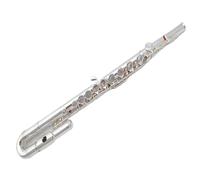 Flute Instrument Beginner's Curved Flute Instrument Double-headed C-tune Band Performance Professional Examination Silver-plated