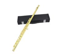 Flute Instrument Flute 16-hole Flute C-key White Copper Tube Leather Box Model Suitable For Beginners To Play At The Examination Level(Gold)