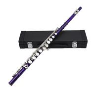 Flute Instrument Flute 16-hole Flute C-key White Copper Tube Leather Box Model Suitable For Beginners To Play At The Examination Level(Purple)