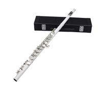 Flute Instrument Flute 16-hole Flute C-key White Copper Tube Leather Box Model Suitable For Beginners To Play At The Examination Level(White)