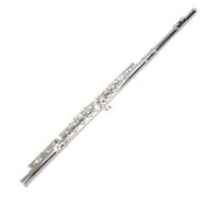 Flute Instrument Standard Flute Beginner's Choice Silver-plated Open And Closed Dual-purpose Beginner Flute(16-hole)