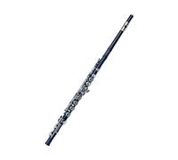 Flute kit Black 16 Holes Flute Woodwind Instrument Closed Key Add The E Key C Tone Nickel Plated Concert Flute With Case