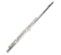 Flute kit Flute Instrument 16 Closed Hole Silver-plated C Key E Key Beginner Grade Examination(UP)